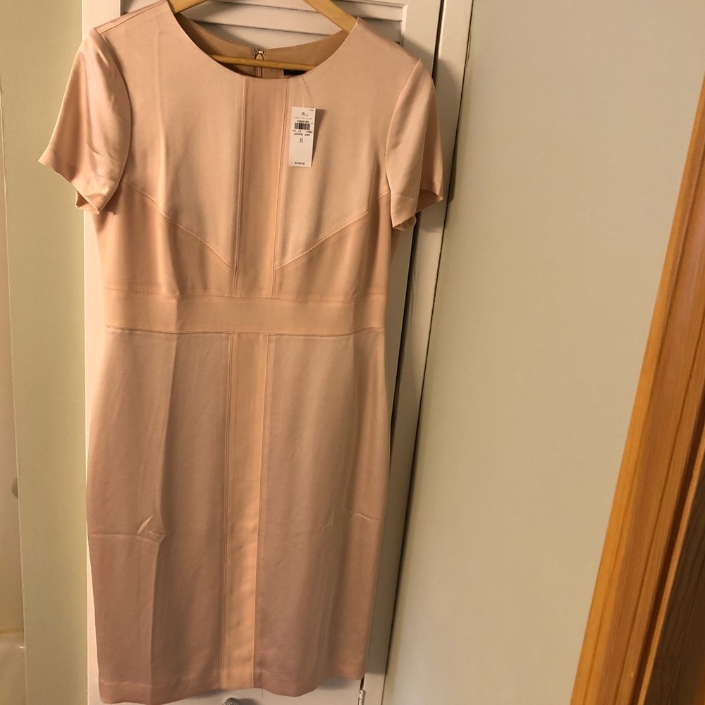 Stunning Ann Taylor Nude Cocktail Dress NWT